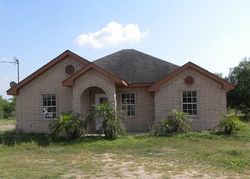 Venecia Dr, Sullivan City - TX