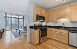 N Dearborn St Apt 1903, Chicago - IL