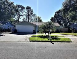 Black Pine Dr, Tampa - FL