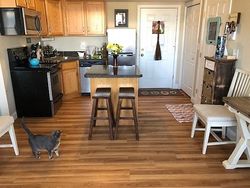 Malta St Apt 2, Hull - MA