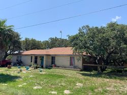 Weeping Willow, Rockport - TX