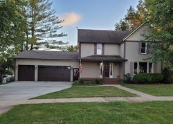 W Edgington St, Reynolds - IL