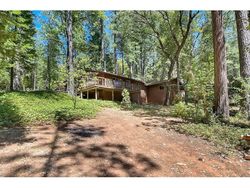Old Camptonville Rd, Camptonville - CA