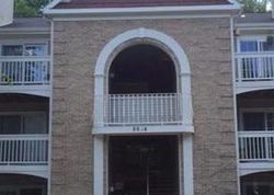 Shadwell Dr Unit 33, Alexandria - VA